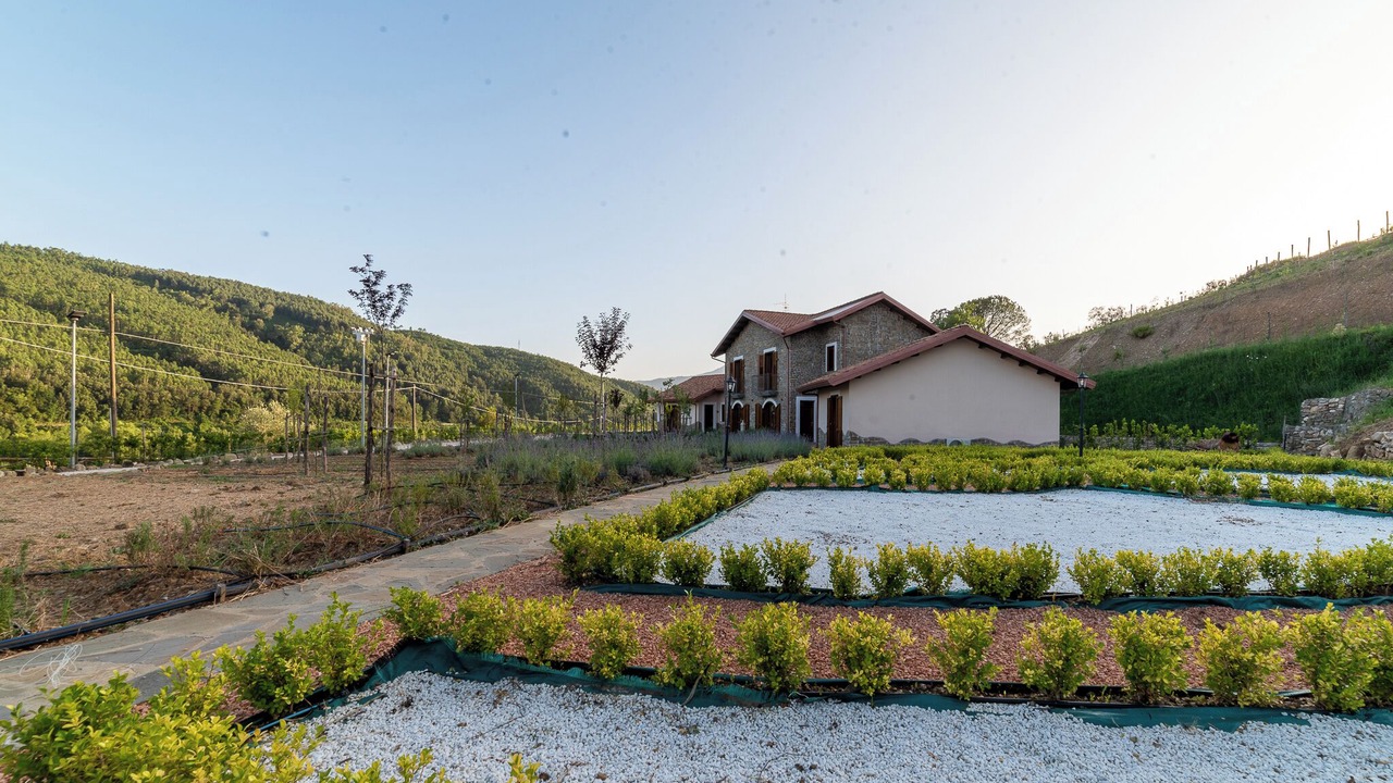 Photo of Outdoor in Perito
