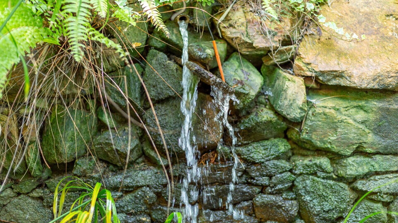 Photo of Outdoor in Chia