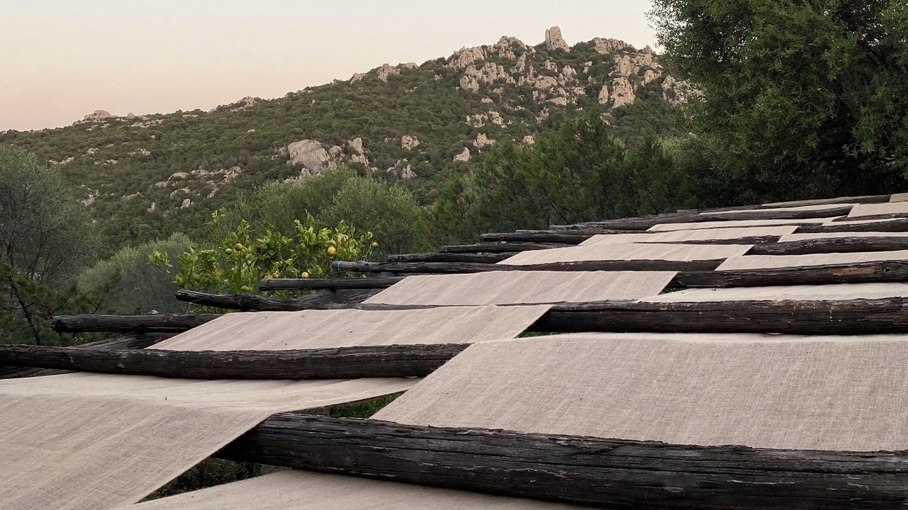 Photo of Outdoor in Sant'Antonio di Gallura