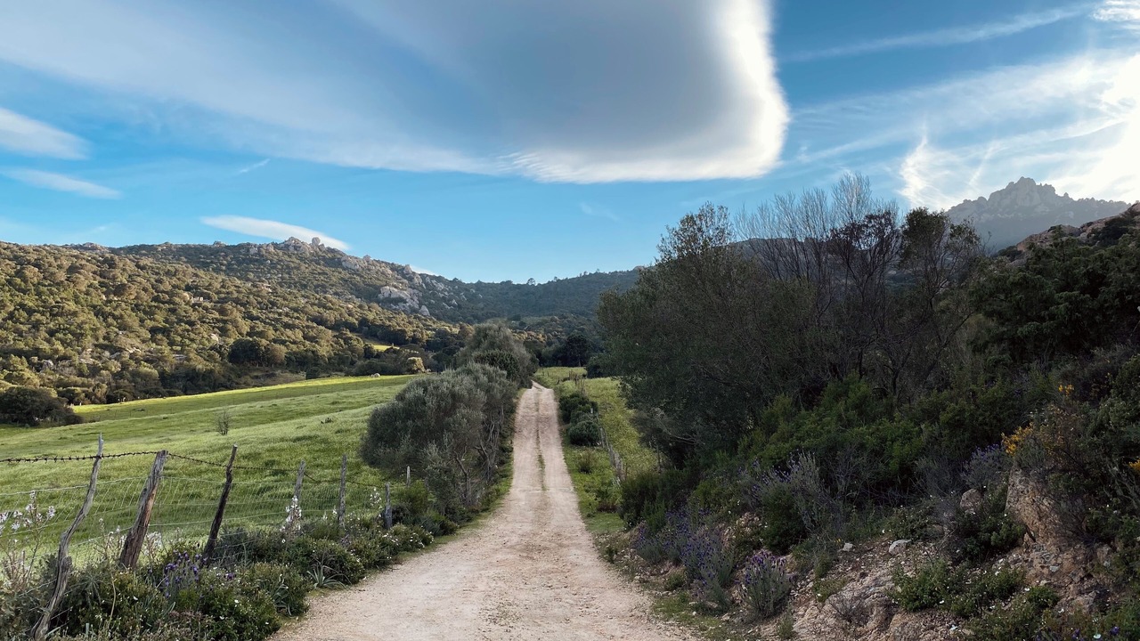Photo of Others in Sant'Antonio di Gallura