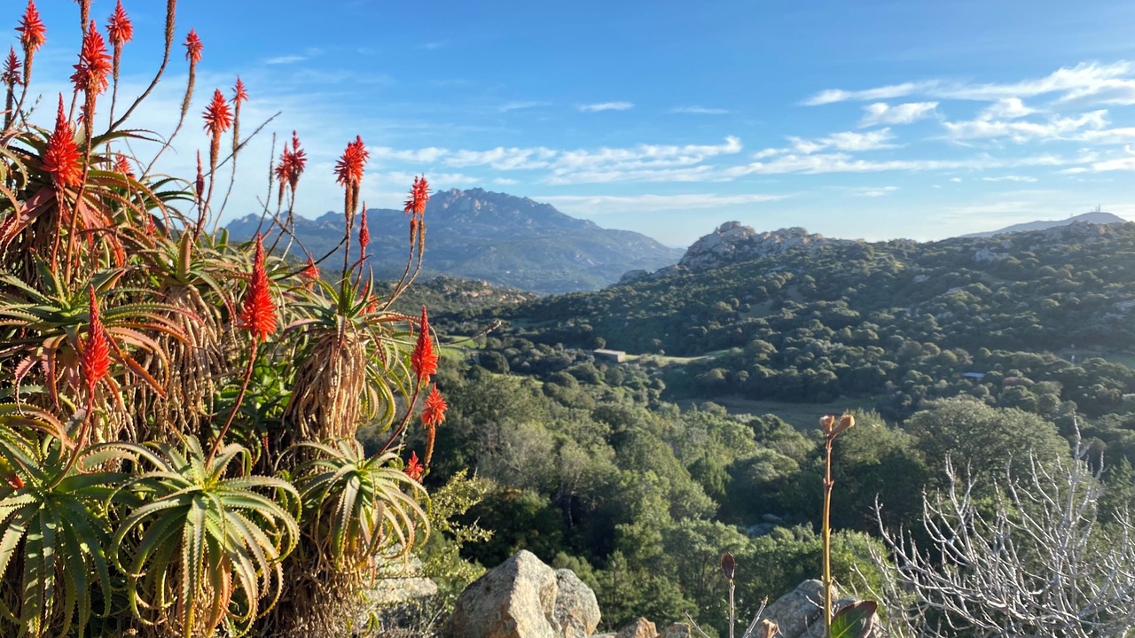 Photo of Outdoor in Sant'Antonio di Gallura