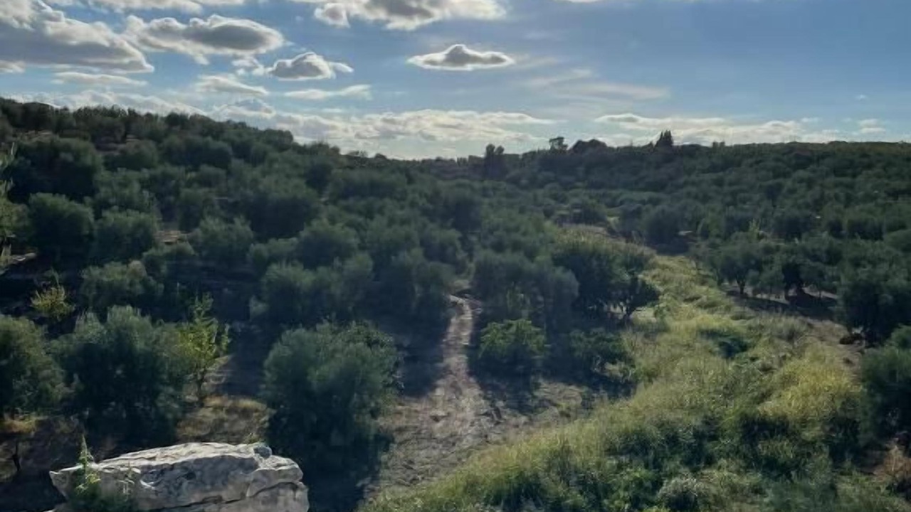 Photo of Outdoor in Bisceglie