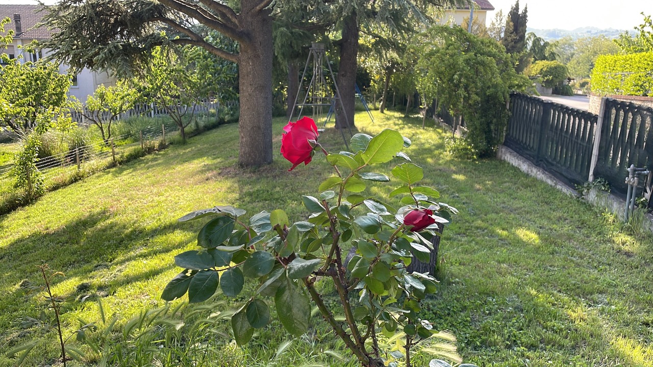 Photo of Outdoor in Saint-remy-de-provence