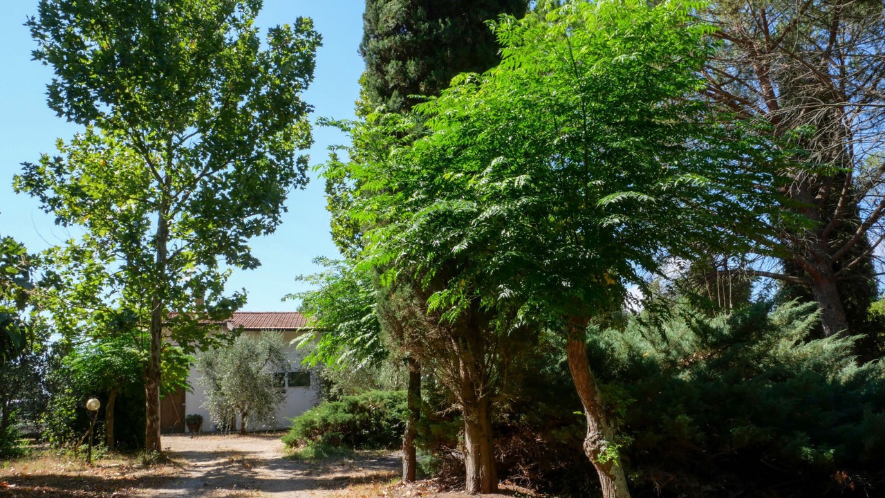 Photo of Outdoor in Grosseto