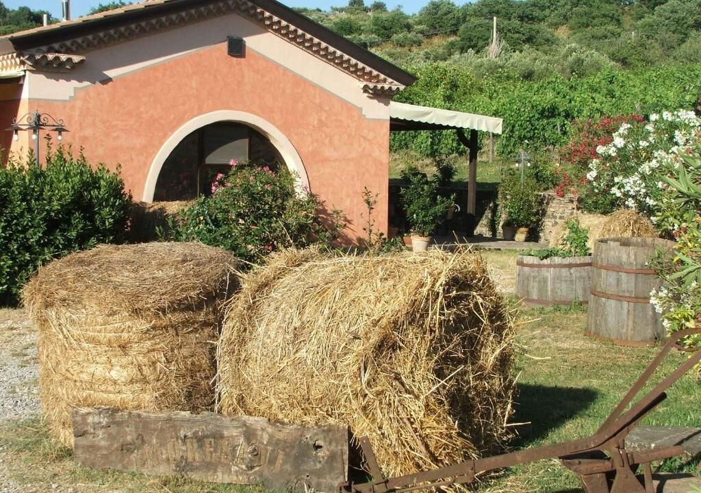 Photo of Outdoor in Casal Velino
