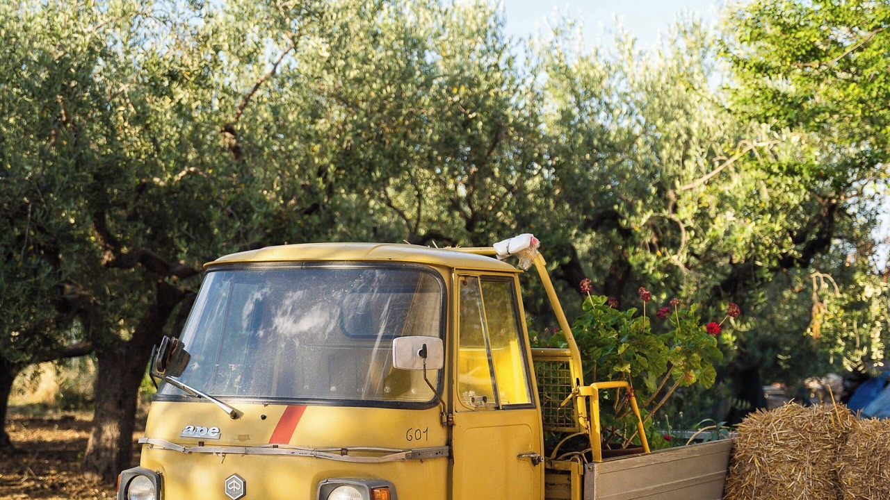 Photo of Outdoor in Ortona