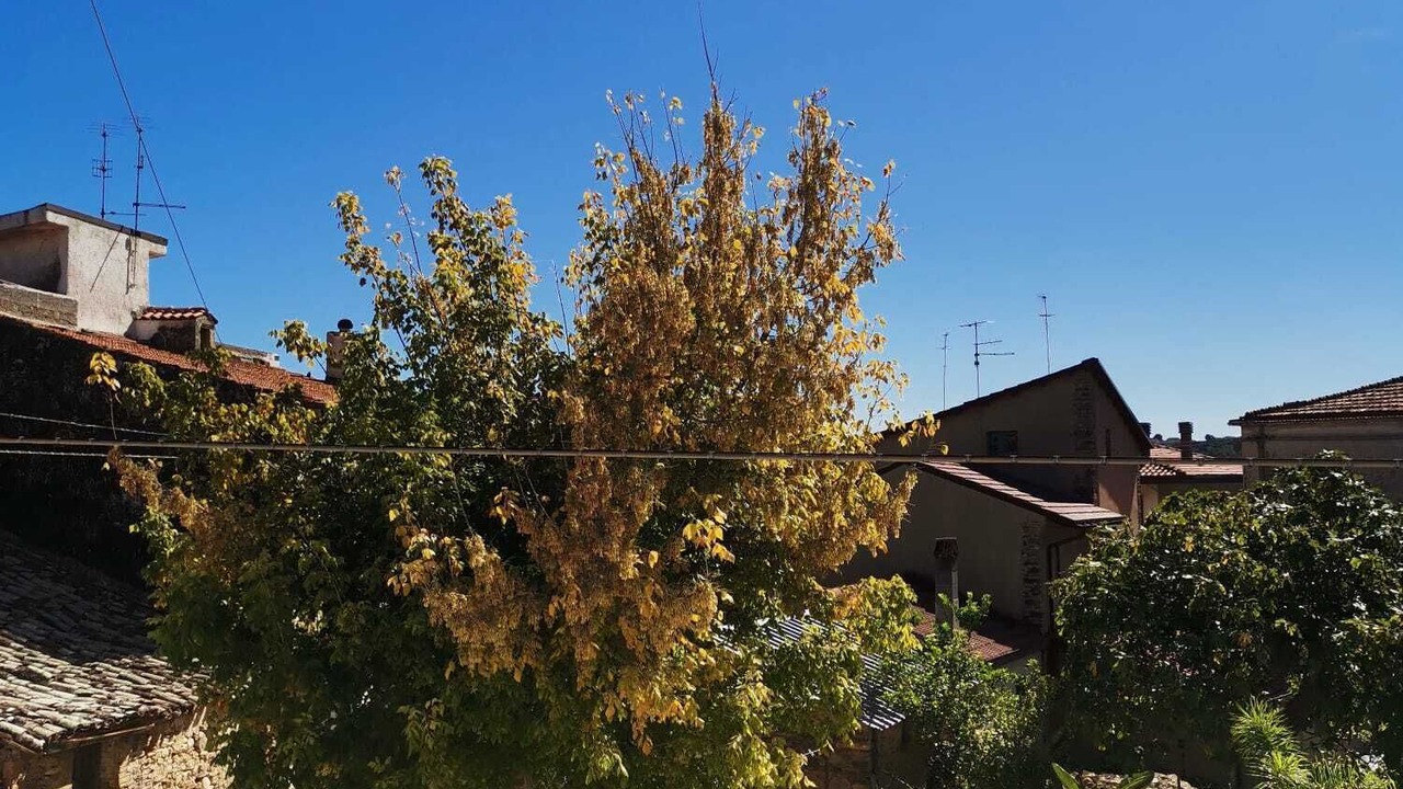 Photo of Outdoor in Ortona
