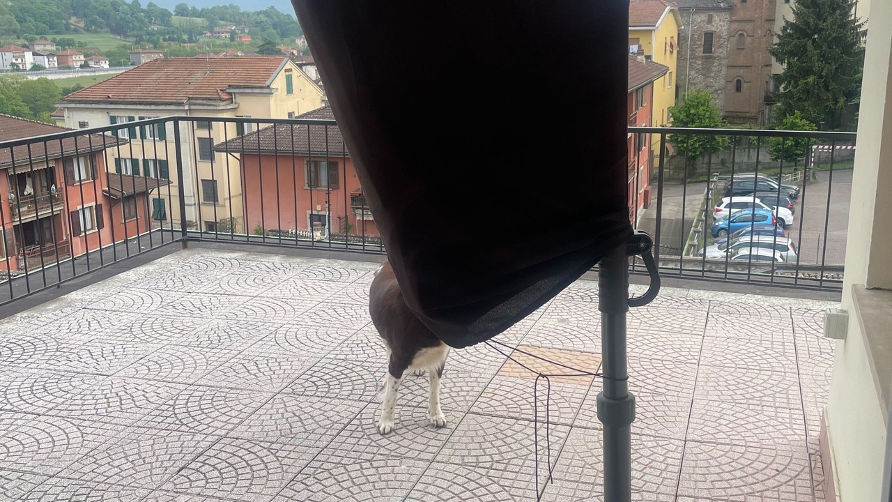 Photo of Patio Balcony in Serravalle Scrivia