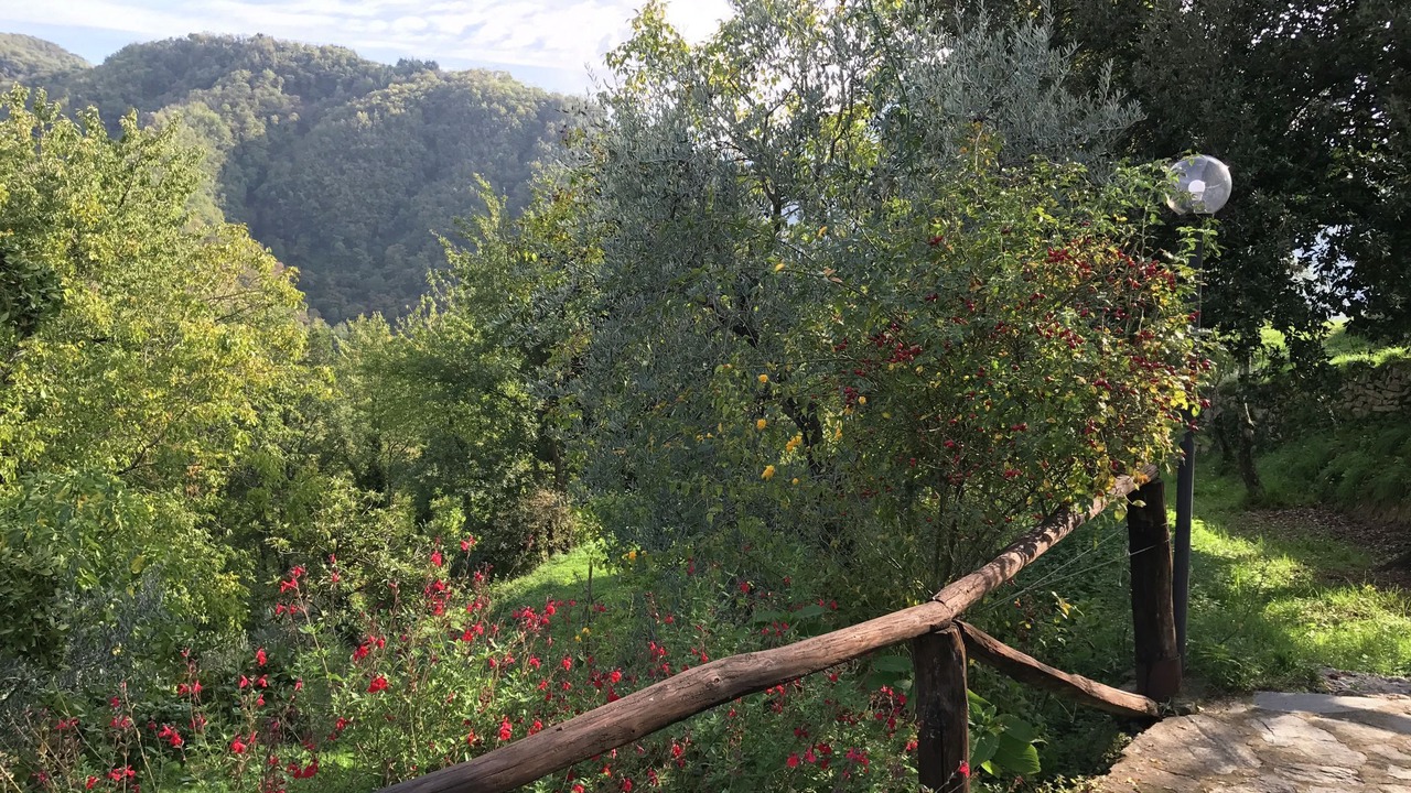 Photo of Outdoor in Vergemoli