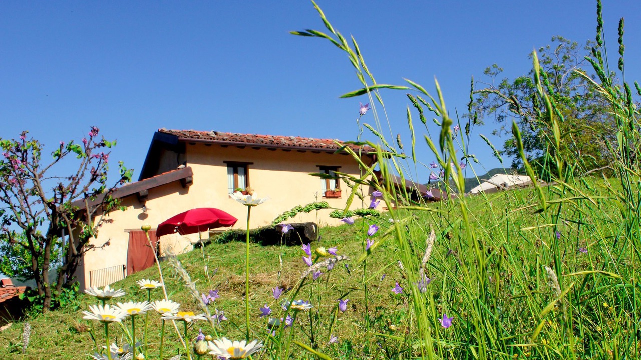 Photo of Outdoor in Vergemoli