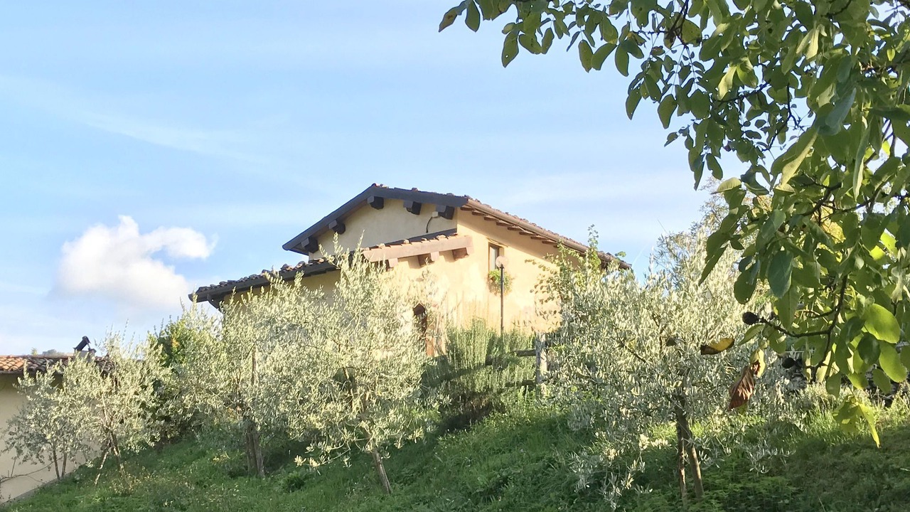 Photo of Outdoor in Vergemoli