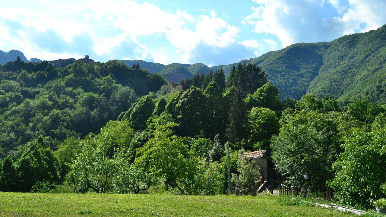 Photo of Outdoor in Vergemoli