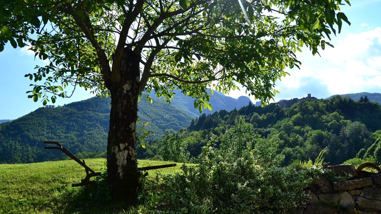 Photo of Outdoor in Vergemoli