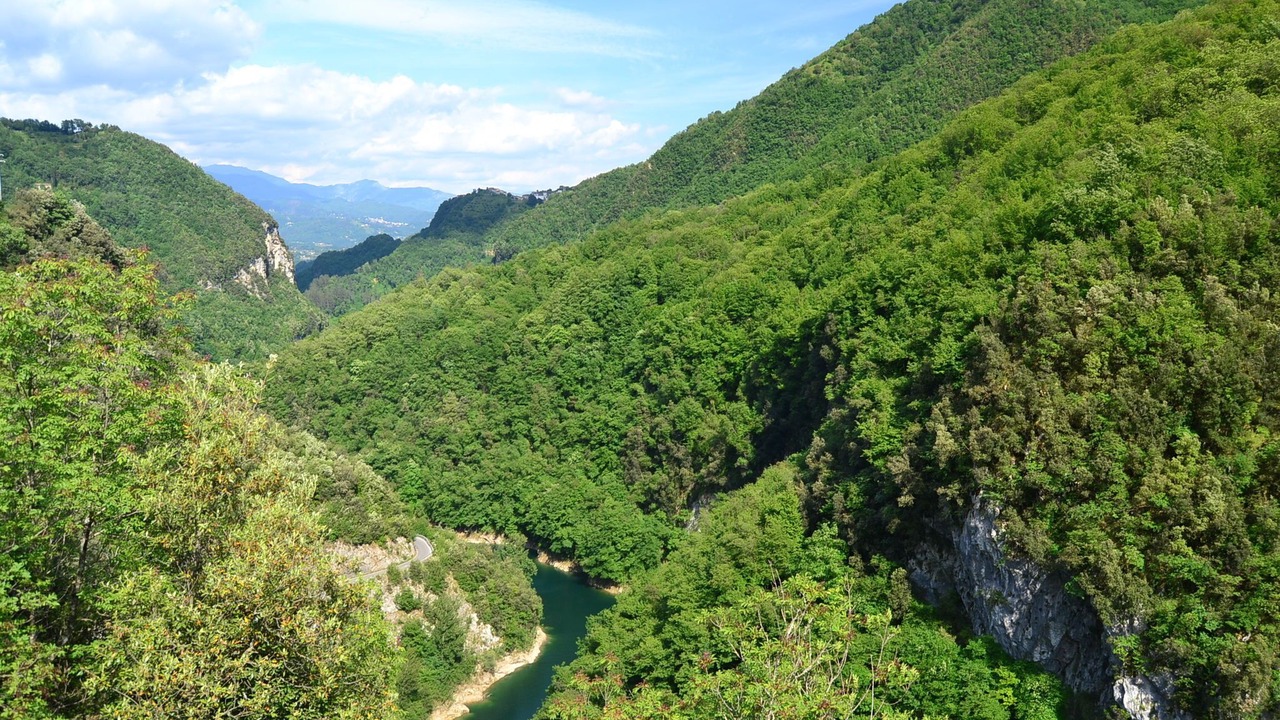 Photo of Others in Vergemoli