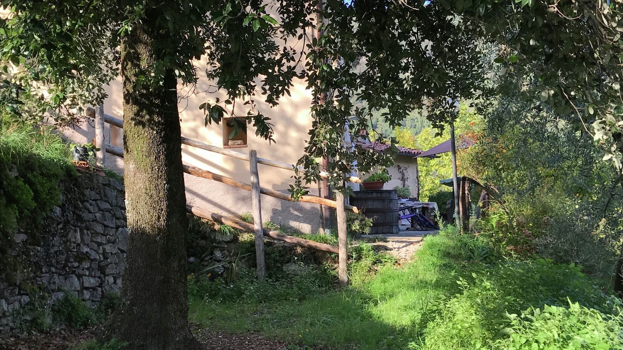 Photo of Outdoor in Vergemoli