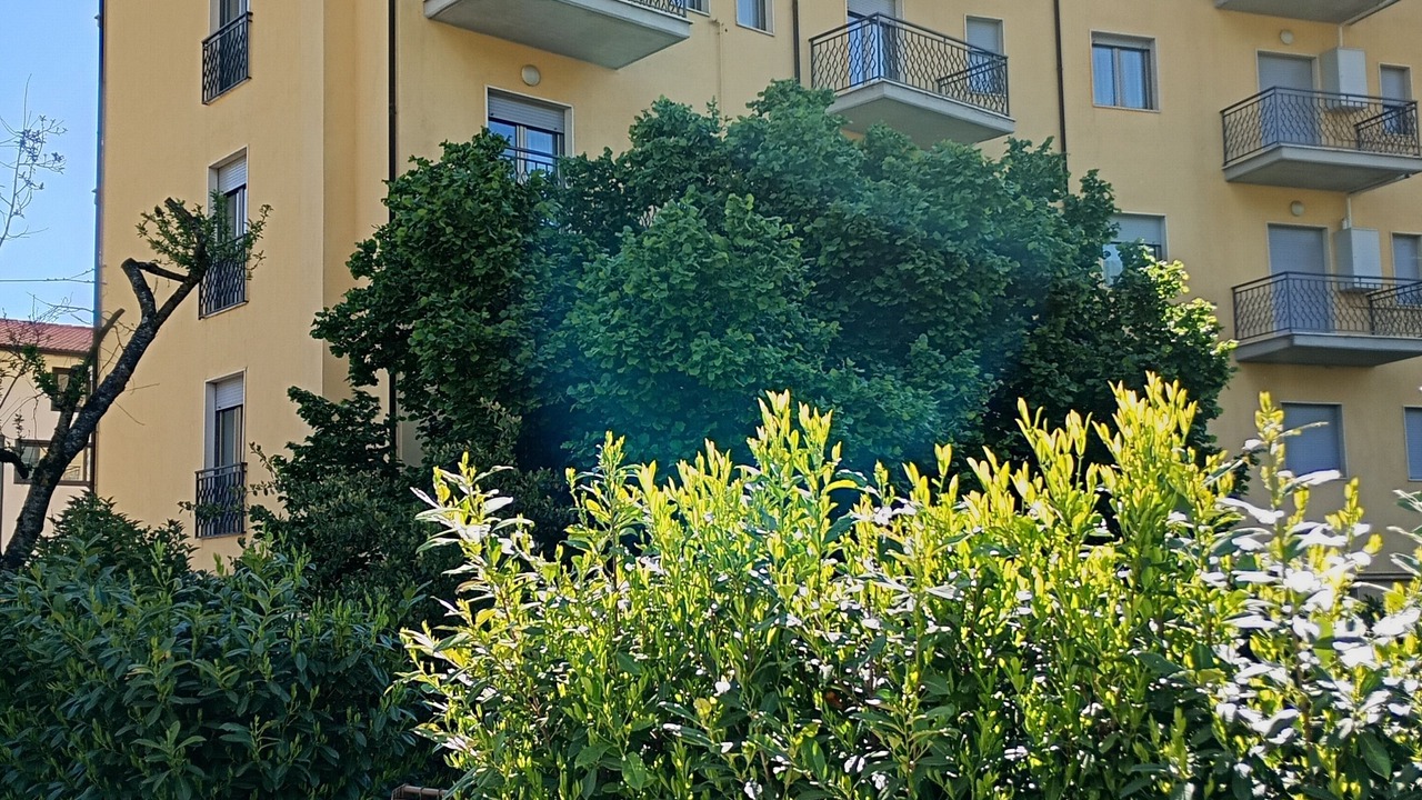 Photo of Outdoor in Scoppito