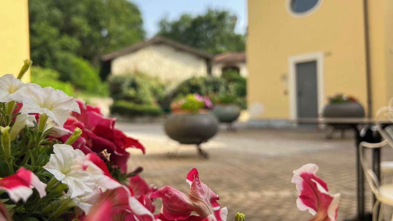 Photo of Outdoor in Gavi