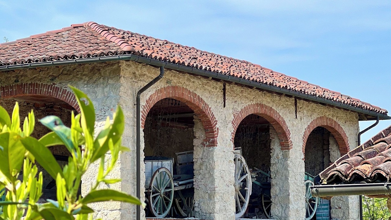 Photo of Outdoor in Gavi
