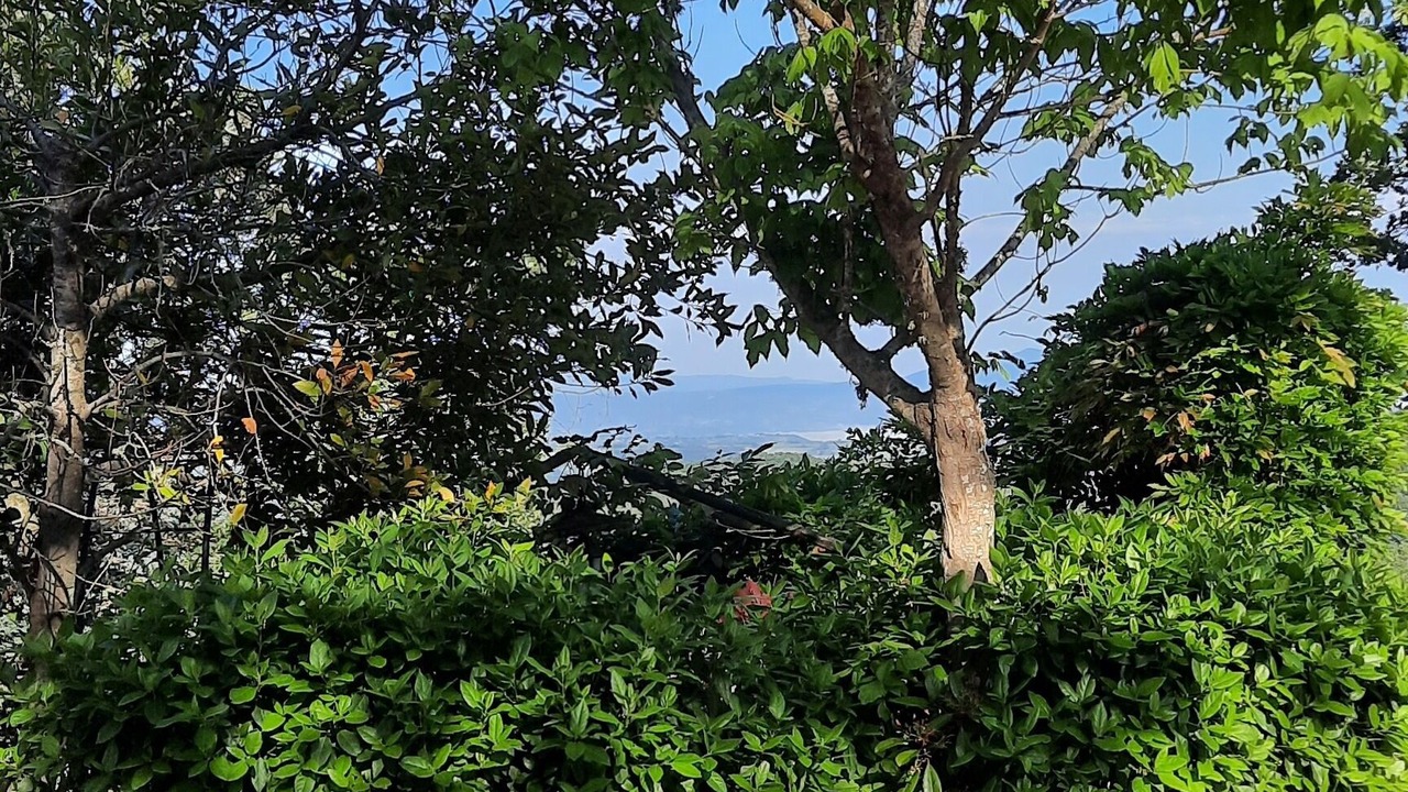 Photo of Outdoor in San Venanzo