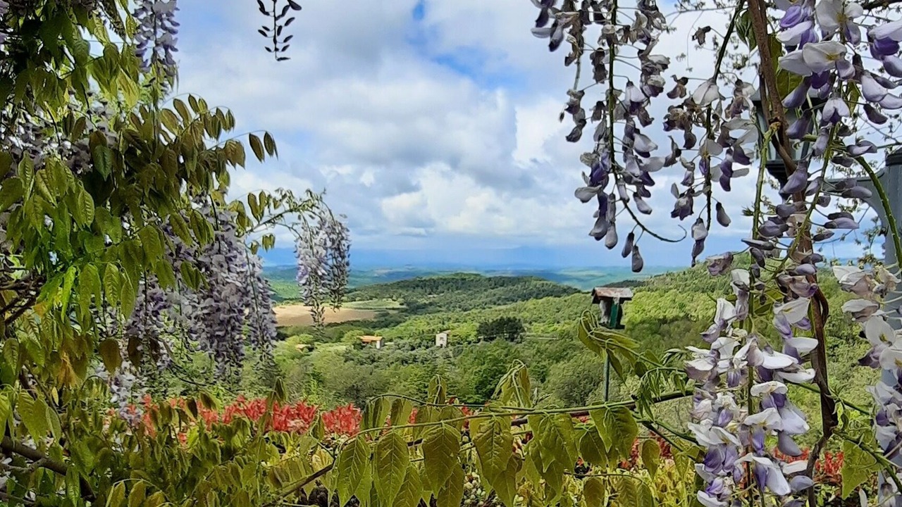 Photo of Outdoor in San Venanzo