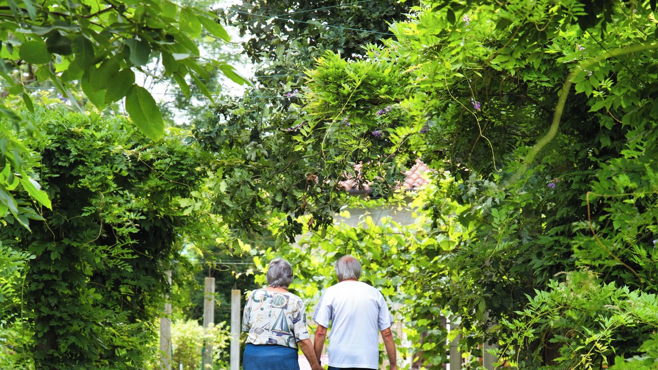Photo of Outdoor in Aglie