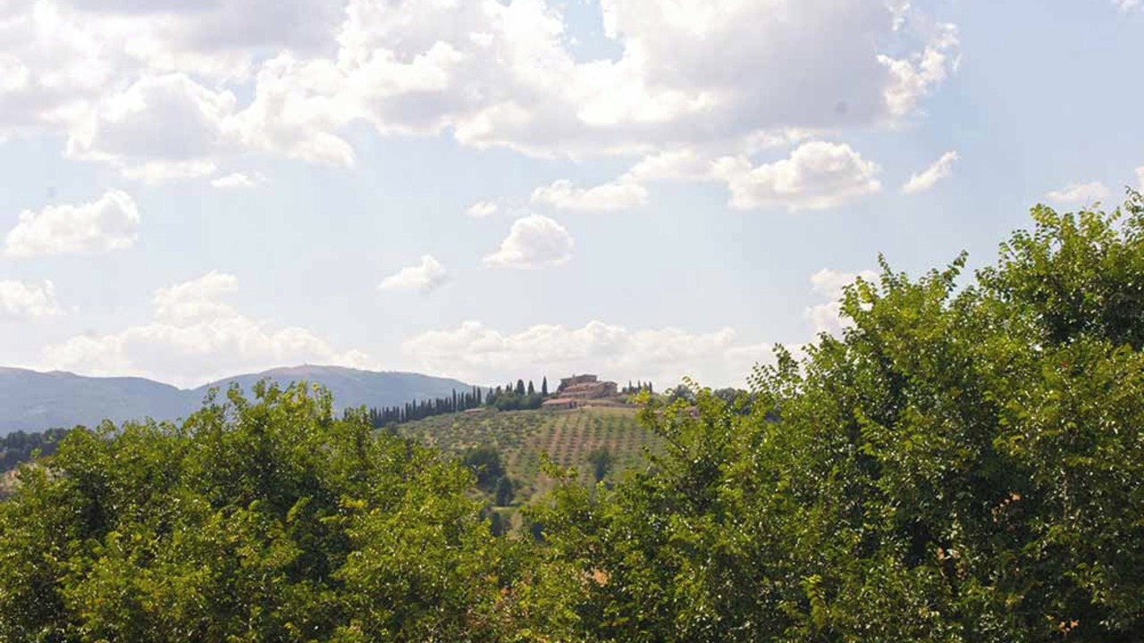 Photo of Outdoor in San Brizio