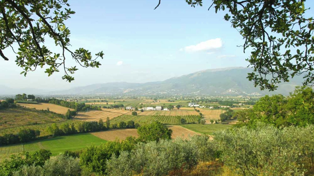 Photo of Outdoor in San Brizio