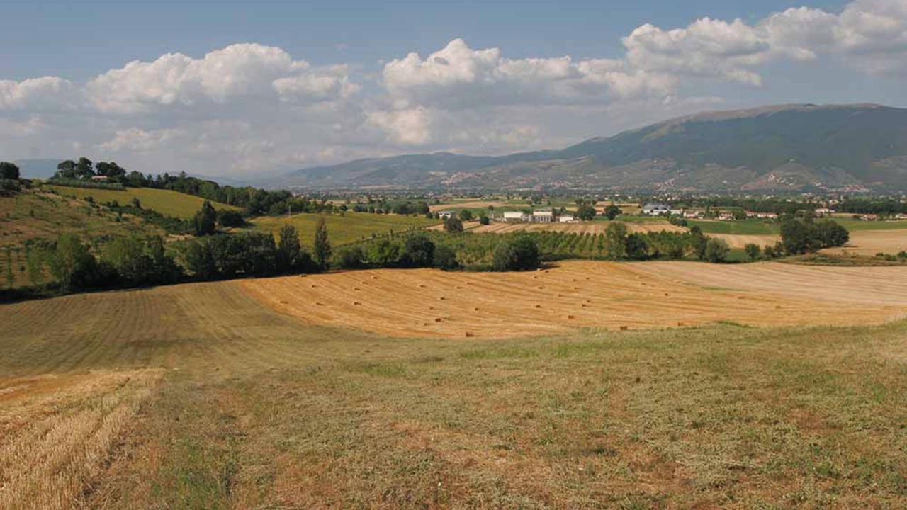 Photo of Outdoor in San Brizio