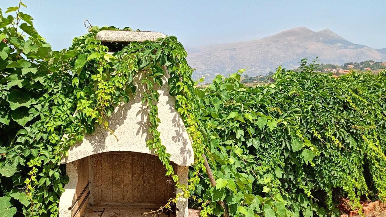 Photo of Outdoor in Borgetto