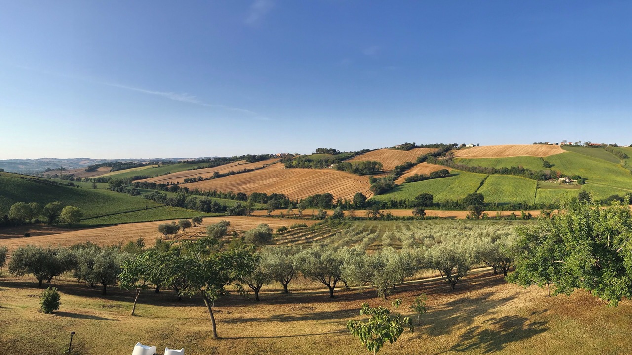 Photo of Outdoor in Bettolelle
