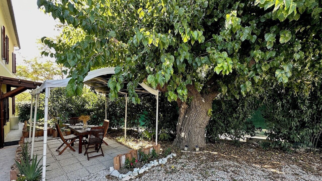 Photo of Outdoor in Bettolelle
