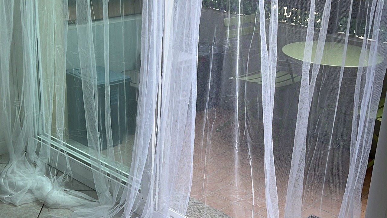Photo of Outdoor in Albese con Cassano