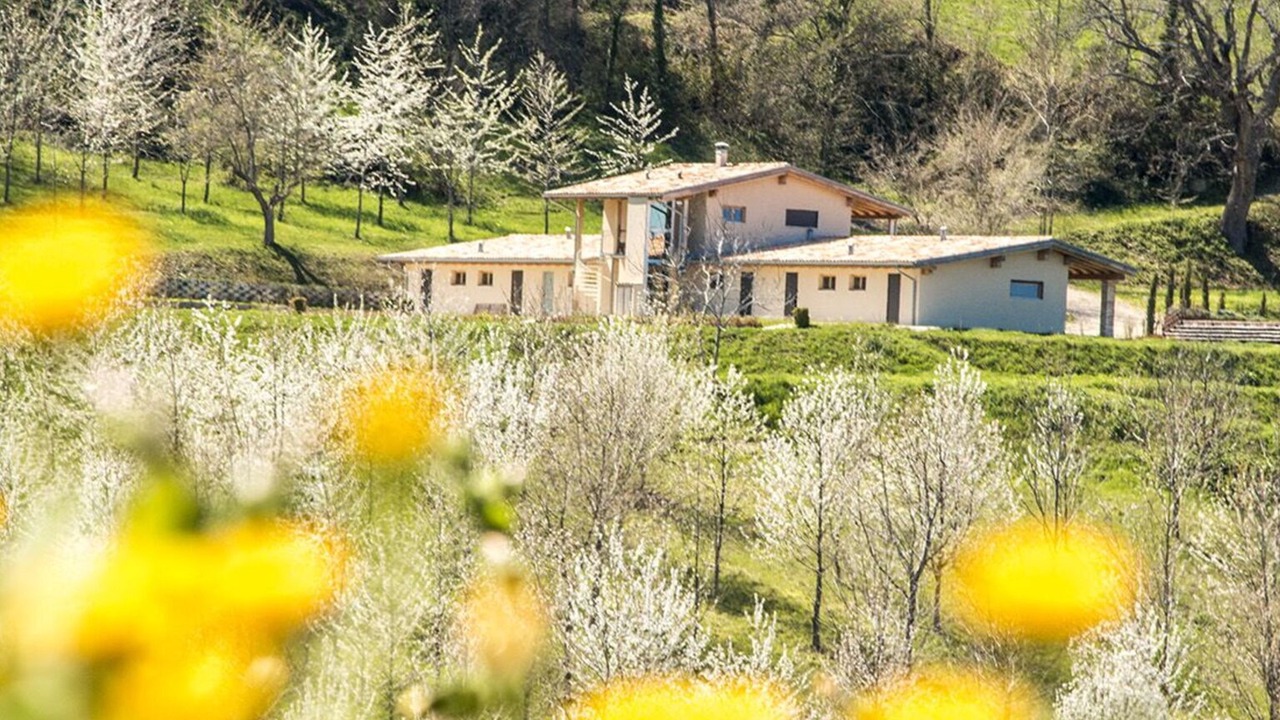 Photo of Outdoor in Falerone