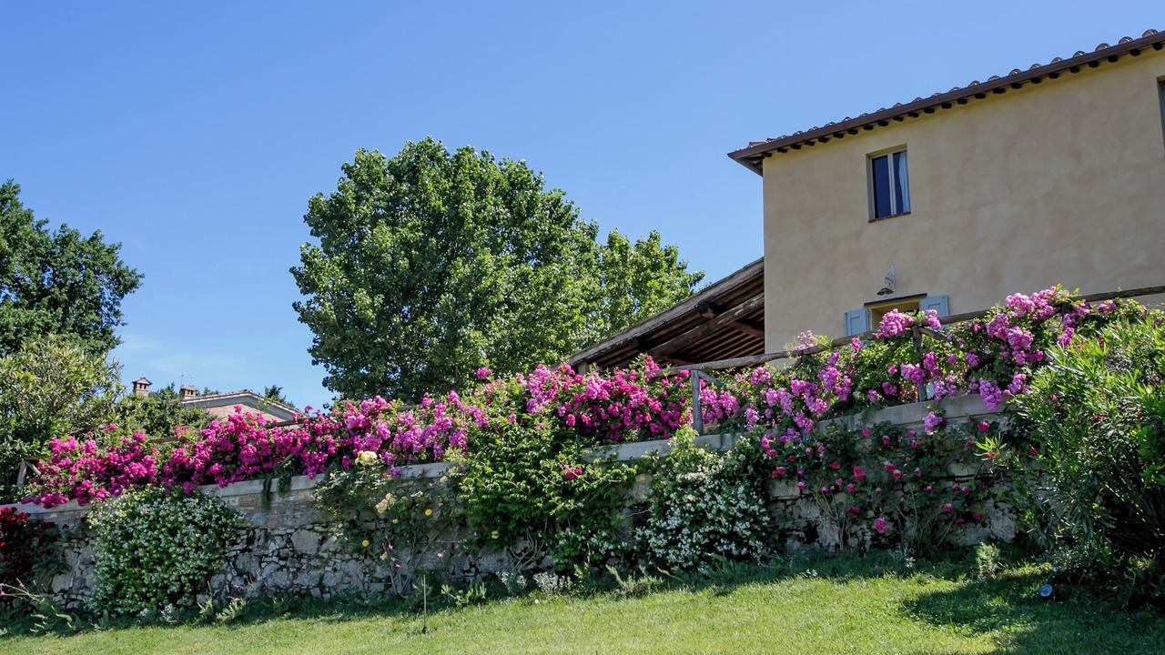 Photo of Outdoor in Siena
