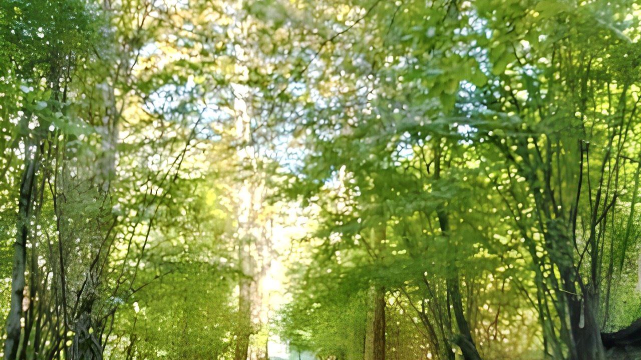 Photo of Outdoor in Gallicano