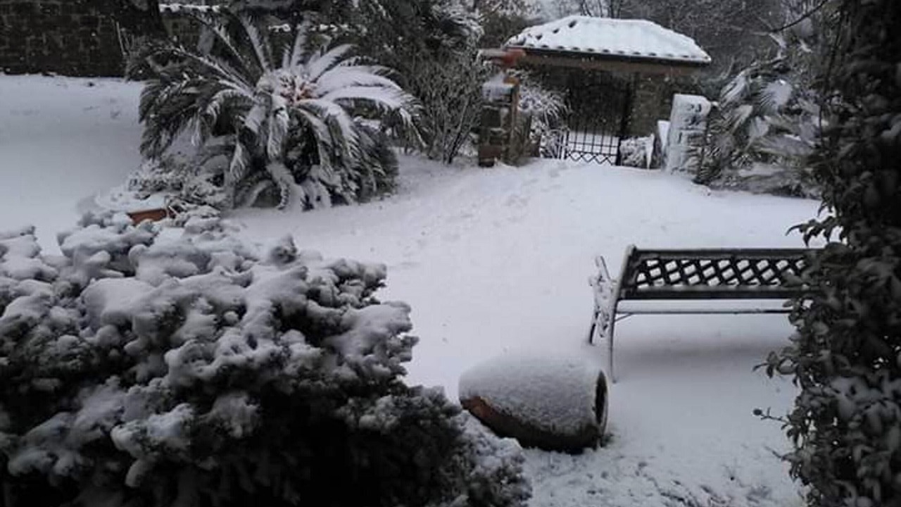 Photo of Outdoor in Serre
