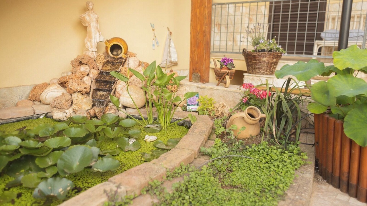 Photo of Outdoor in Boncore