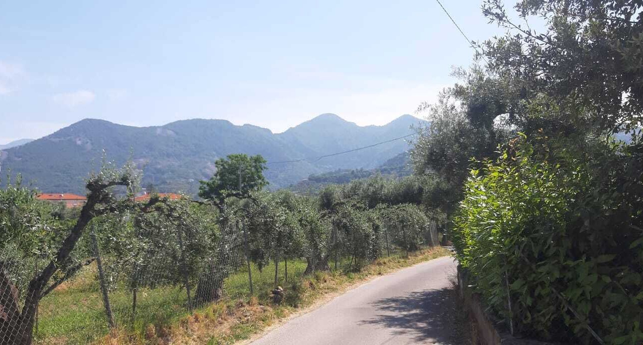 Photo of Others in Querceta