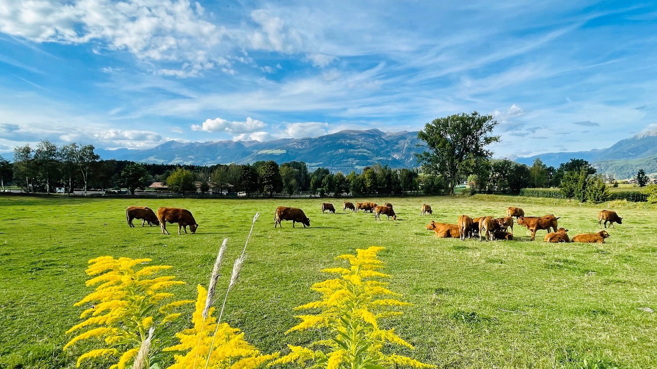 Photo of Outdoor in Riscone