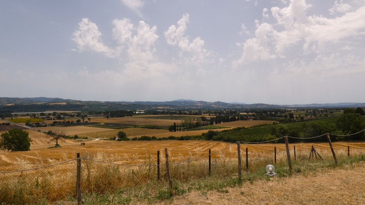 Photo of Others in Castello delle Forme