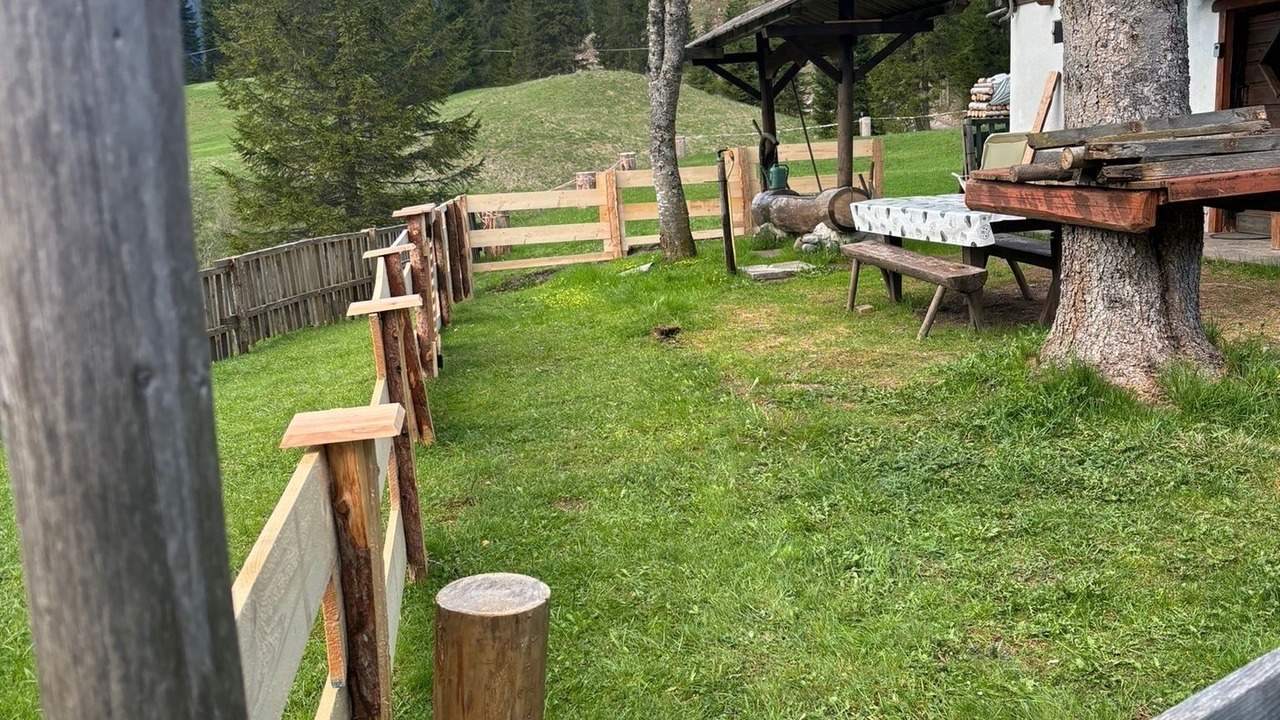 Photo of Outdoor in Santo Stefano di Cadore