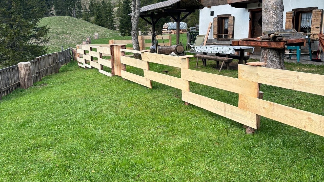 Photo of Outdoor in Santo Stefano di Cadore