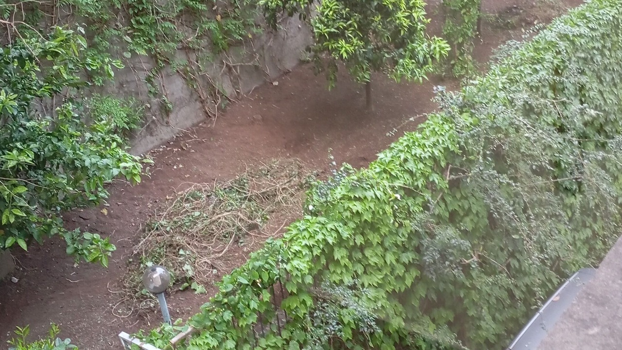 Photo of Outdoor in Salerno