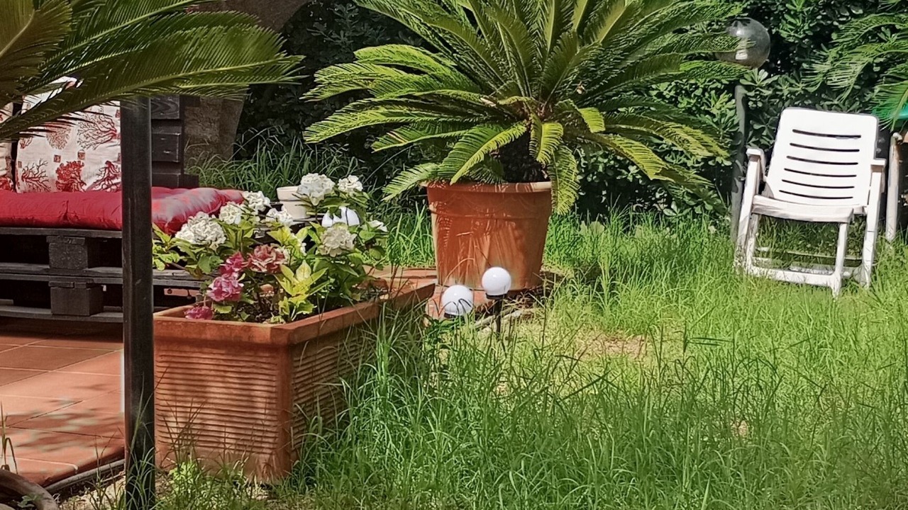 Photo of Outdoor in Salerno