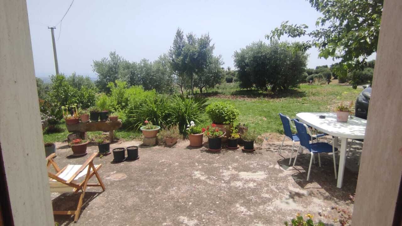 Photo of Outdoor in Nova Siri