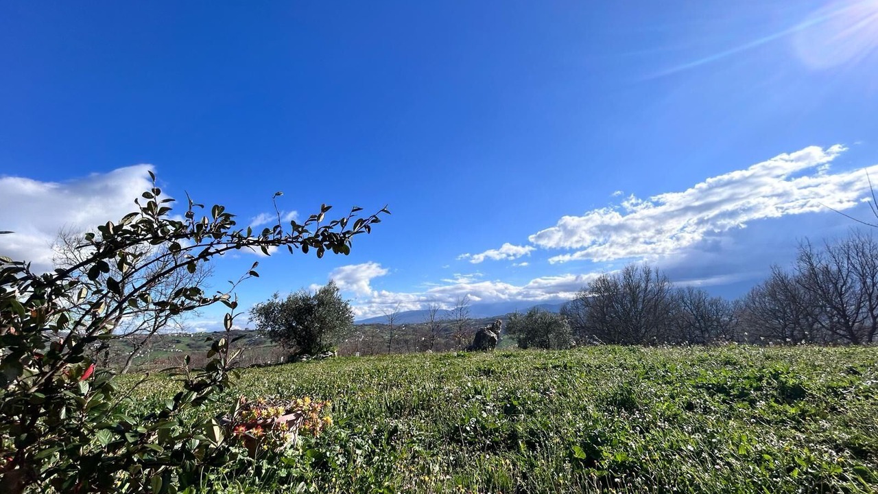 Photo of Outdoor in Busso