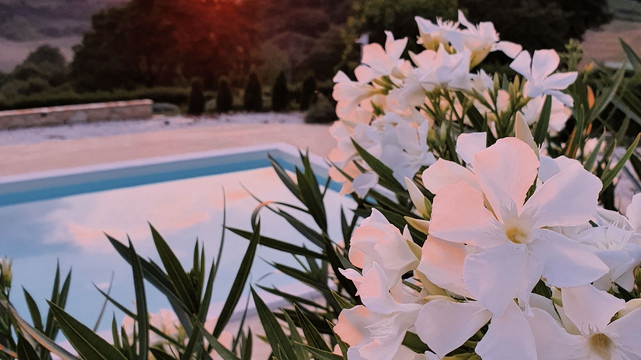 Photo of Outdoor in Penna San Giovanni