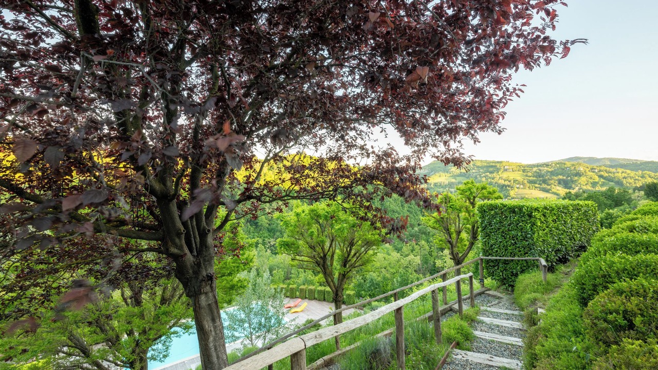 Photo of Outdoor in Morsasco