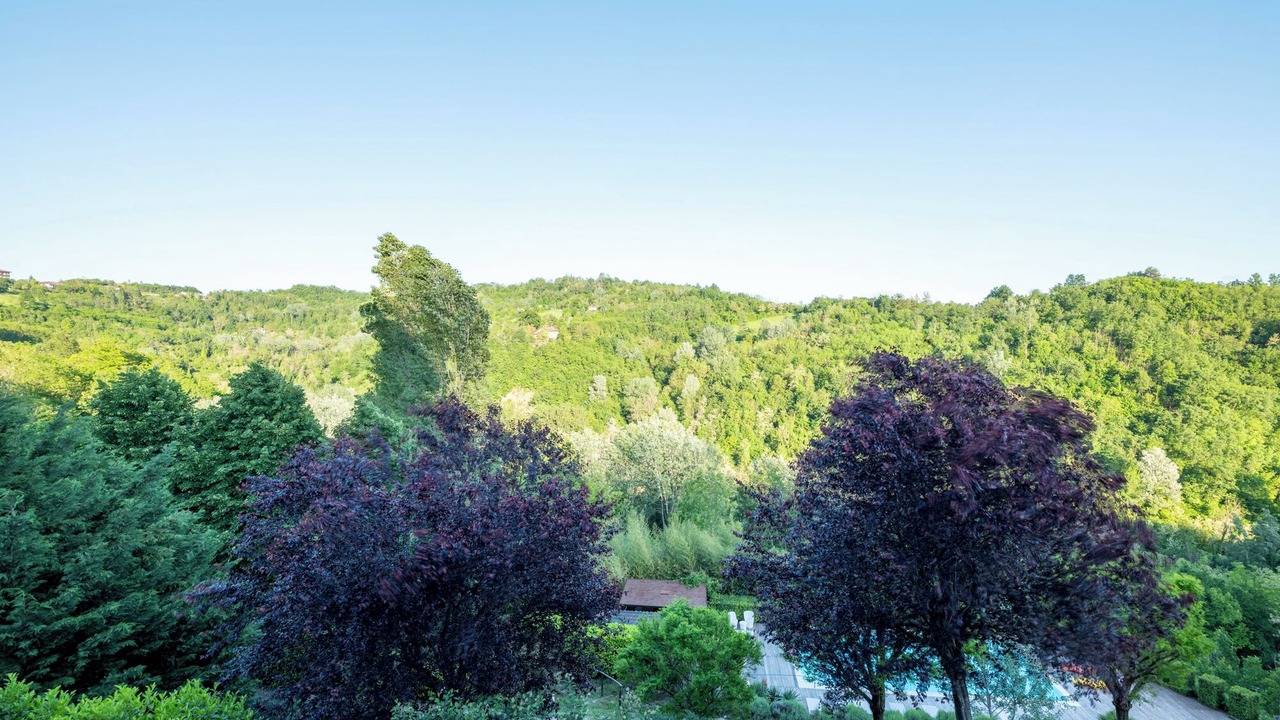 Photo of Outdoor in Morsasco