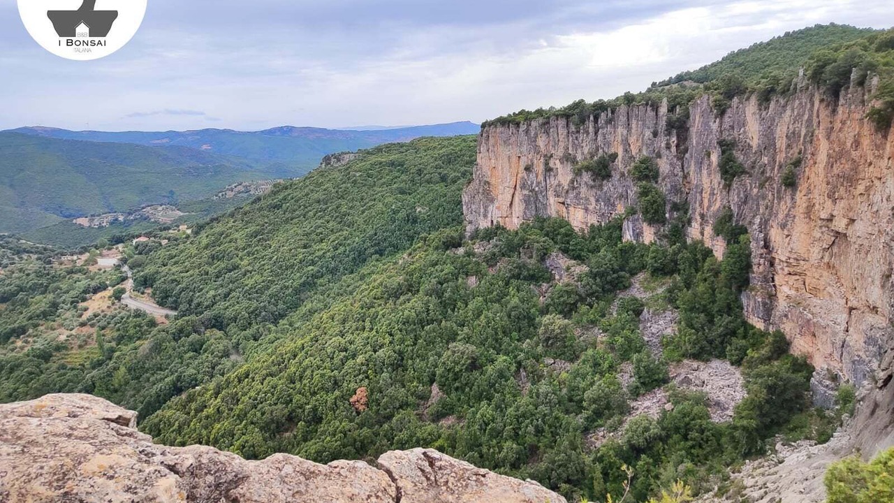 Photo of Others in Talana